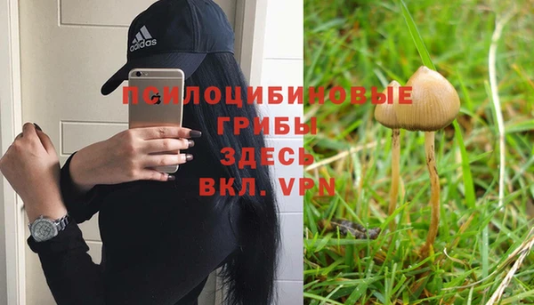 ALPHA PVP Алексин