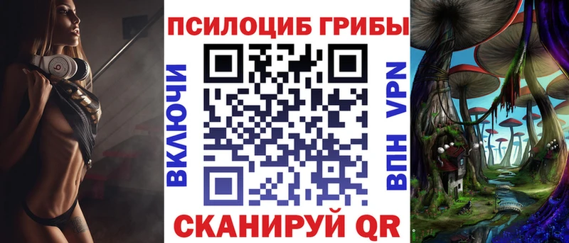Псилоцибиновые грибы Psilocybine cubensis  Льгов 
